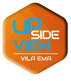 Upside View